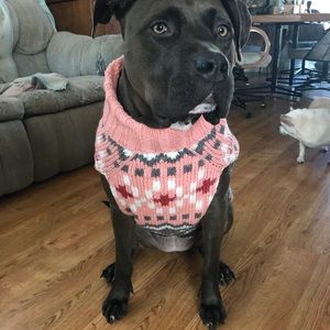 100% WOOL DOG SWEATER